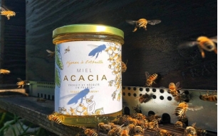 Miel Acacia bio