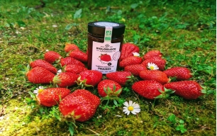 Confiture Fraises bio