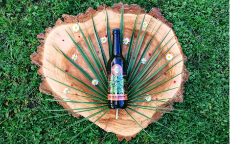 Bière fleurs de chanvre bio