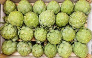 Artichauts blanc bio