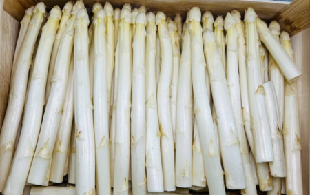 Asperges blanches bio