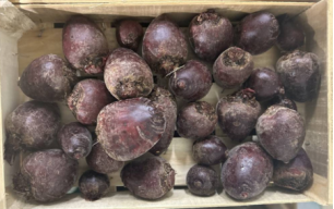 Betteraves crues bio