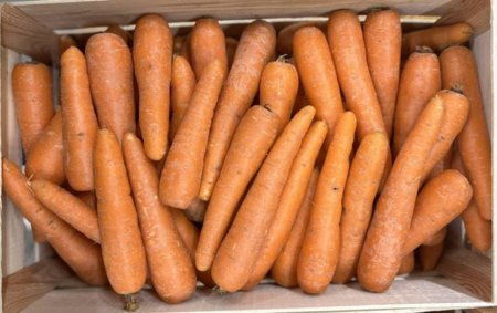 Carottes bio