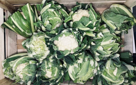 Chou Fleur bio