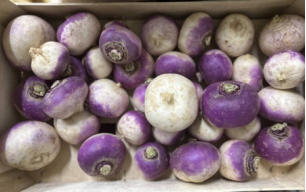 Nouveau navets violets bio