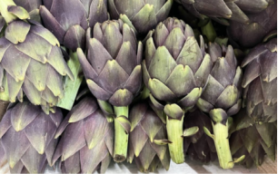 Artichaut violet bio