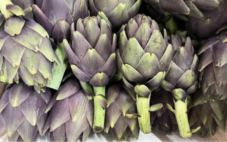 Artichaut violet bio