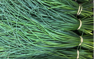 Ciboulette botte bio