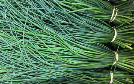 Ciboulette botte bio