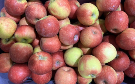 Pommes bio