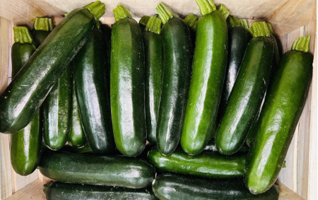 Courgettes longues vertes bio