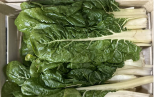 Blettes feuilles bio