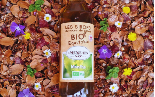Sirop de Menthe bio