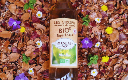 Sirop de Menthe bio