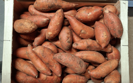 Patates douces bio