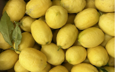 Citrons bio - Corse