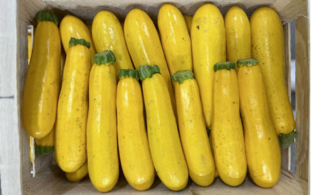 Courgettes jaunes bio