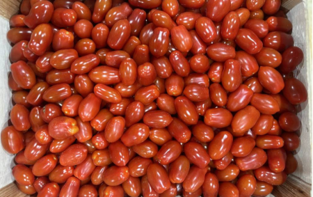 Tomates Cerises
