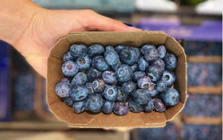 Cassis bio