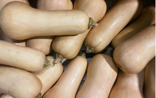 Butternut bio - gros -... 2