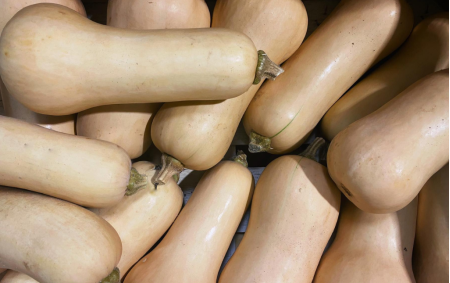 Butternut bio - gros - 1.500 kg
