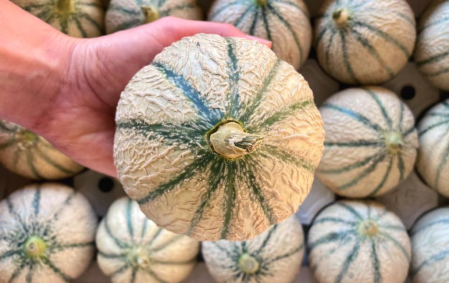 Melon bio