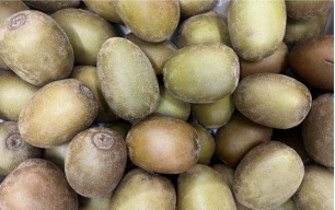 Kiwi jaune bio 2