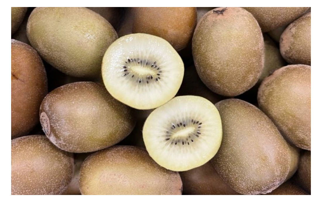 Kiwi jaune bio Kiwi jaune bio