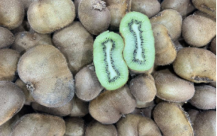 Kiwis verts bio 2