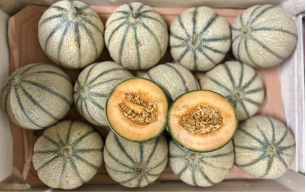 Melon bio