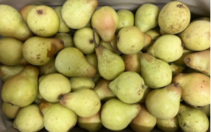 Poires bio