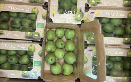 Kiwaï bio (kiwi d'été)