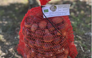 Châtaignes bio