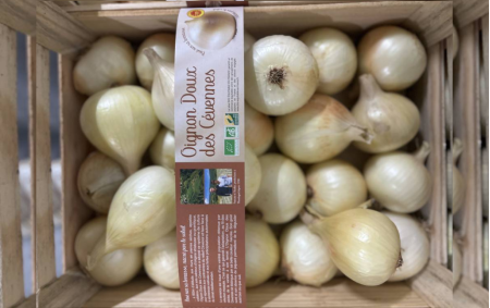 Oignon Doux des Cevennes bio