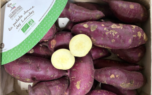 Patate douce bicolore bio