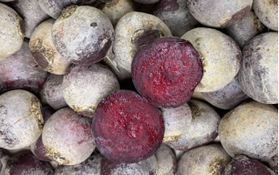 Betteraves crues bio 2