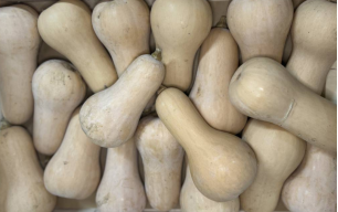 Butternut bio - petit