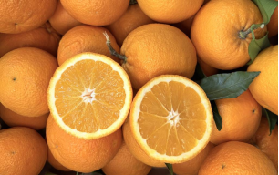 Oranges feuille bio - Corse