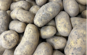 Pommes de terre bio