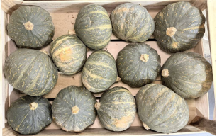 Courge shiatsu bio - 1 Kg