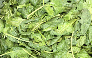 Epinards feuilles bio