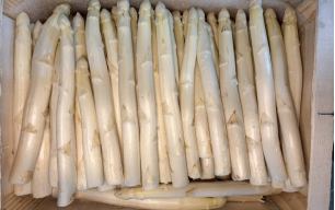 Asperges blanches bio