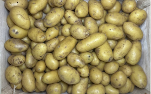 Pommes de terre Grenaille bio