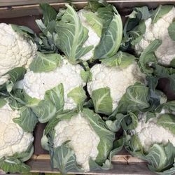 Chou fleur bio
