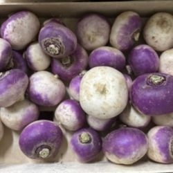 Navet violet bio 2