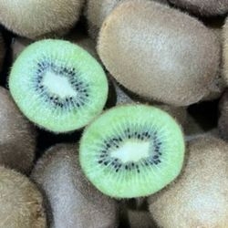 Kiwis verts bio 2