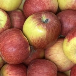 Pommes bio