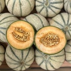 Melon bio 2