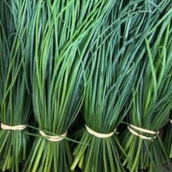 Ciboulette botte bio