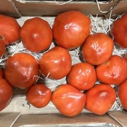 Tomates cœur rouge bio